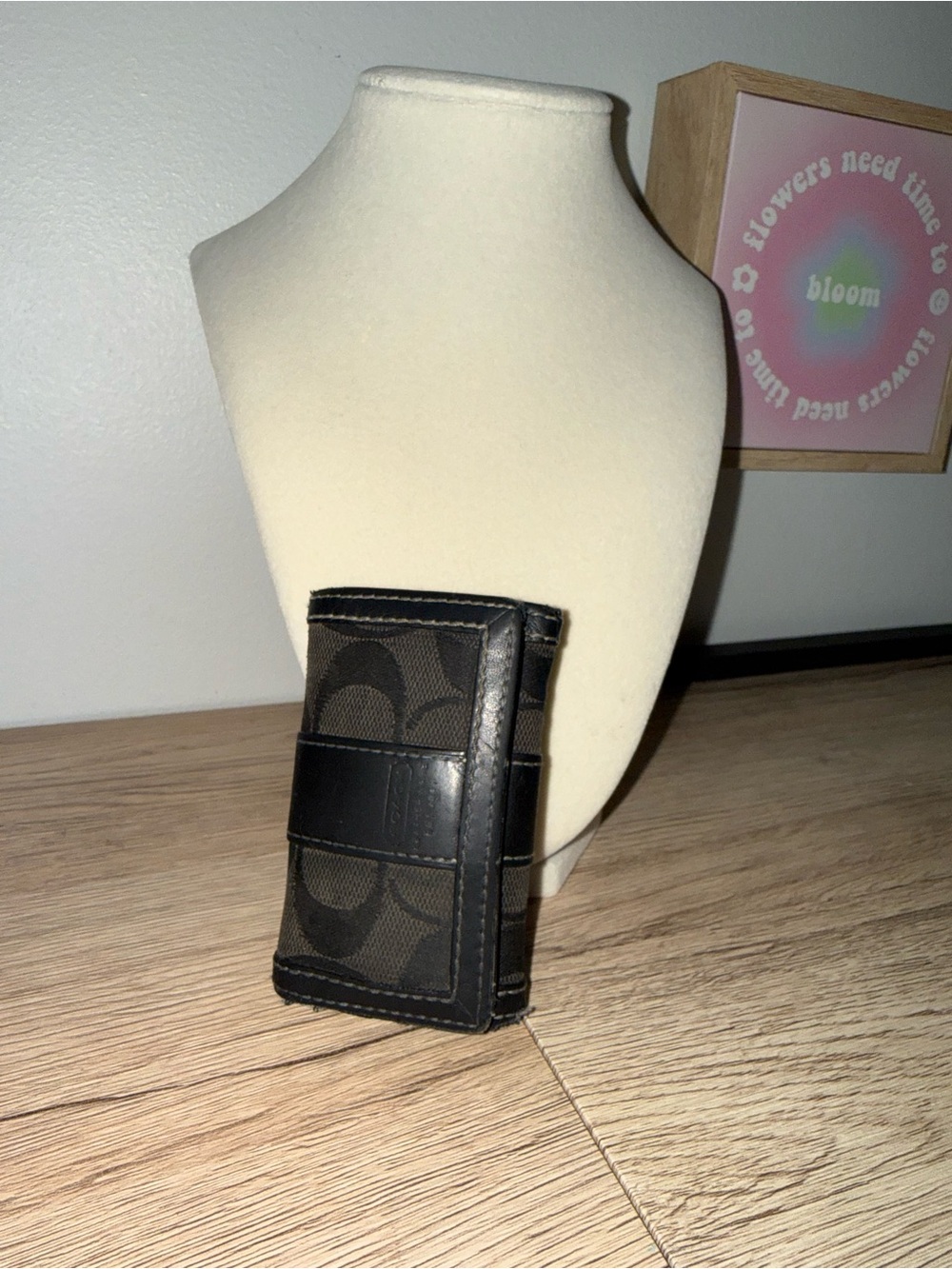 Coach Brown and Black Signature Canvas Key Case